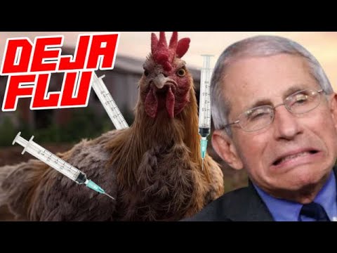 Bill Gates “Research” Made to Bird Flu Transmissible to Humans